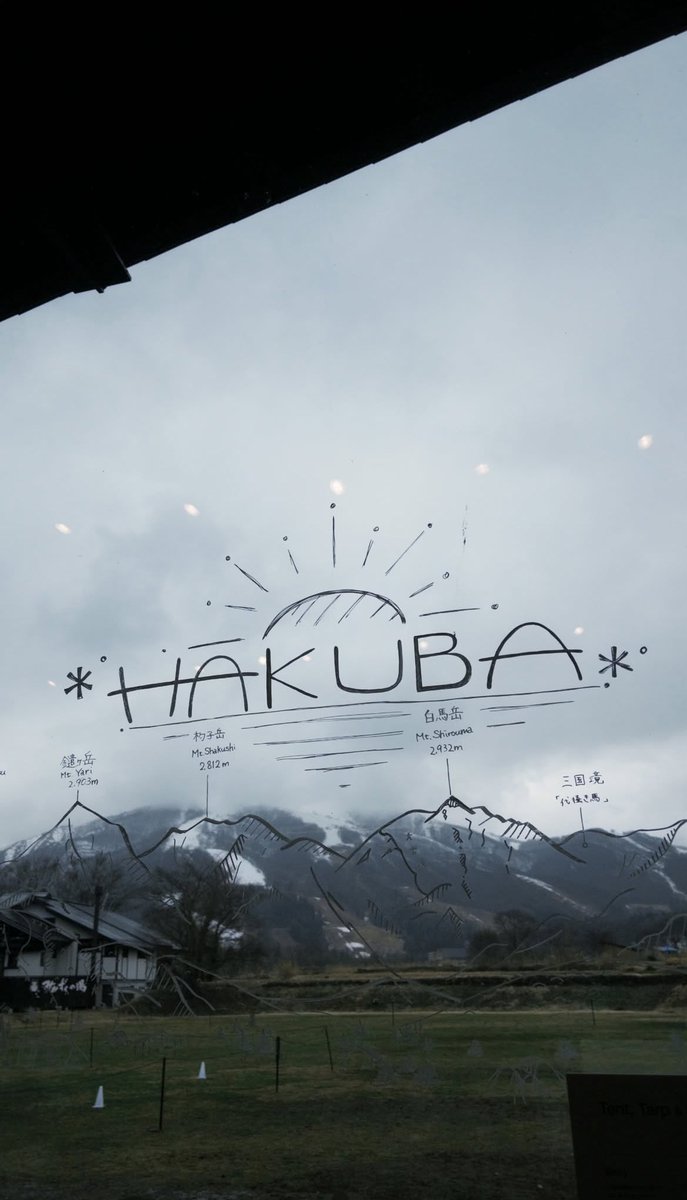 perle 🐰🫧 tweet media