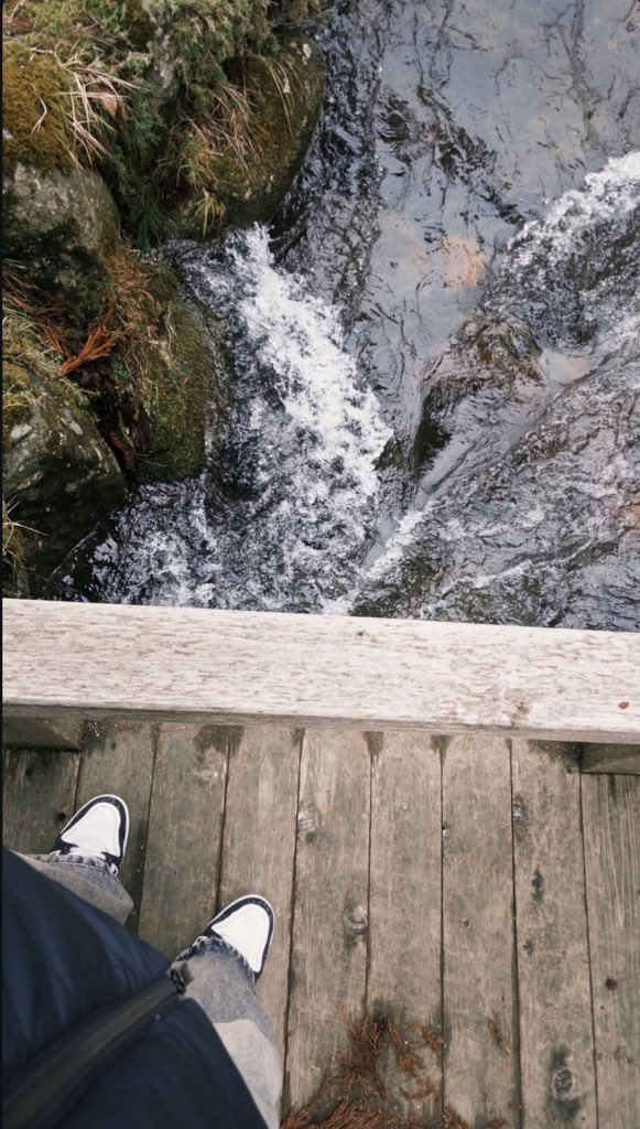 perle 🐰🫧 tweet media