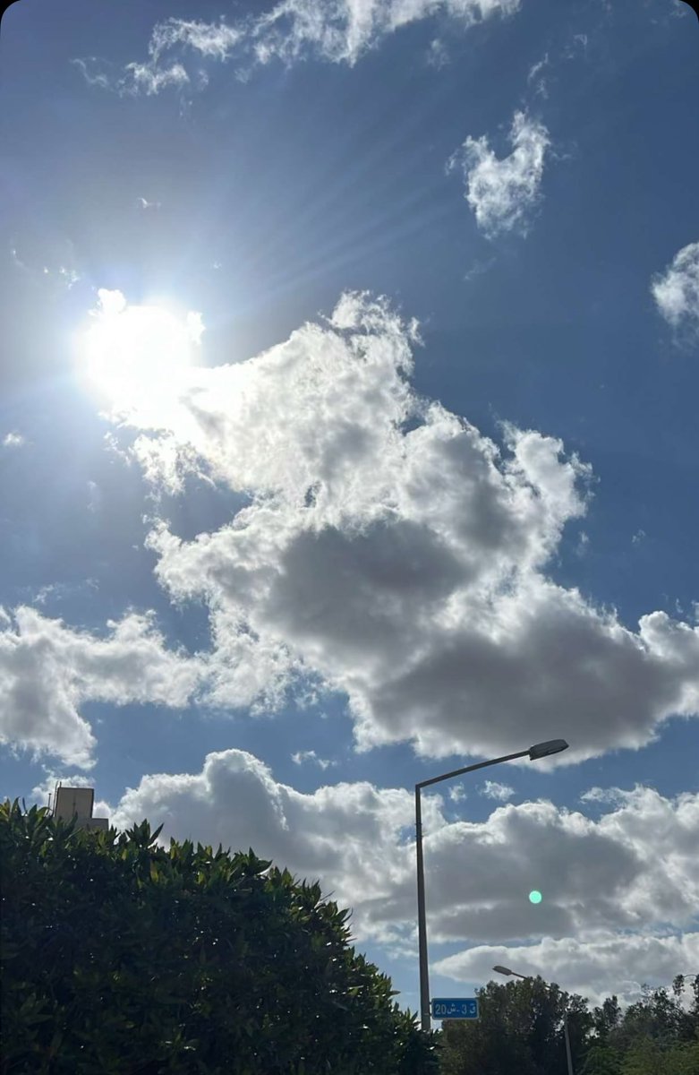 يحـقـلك tweet media