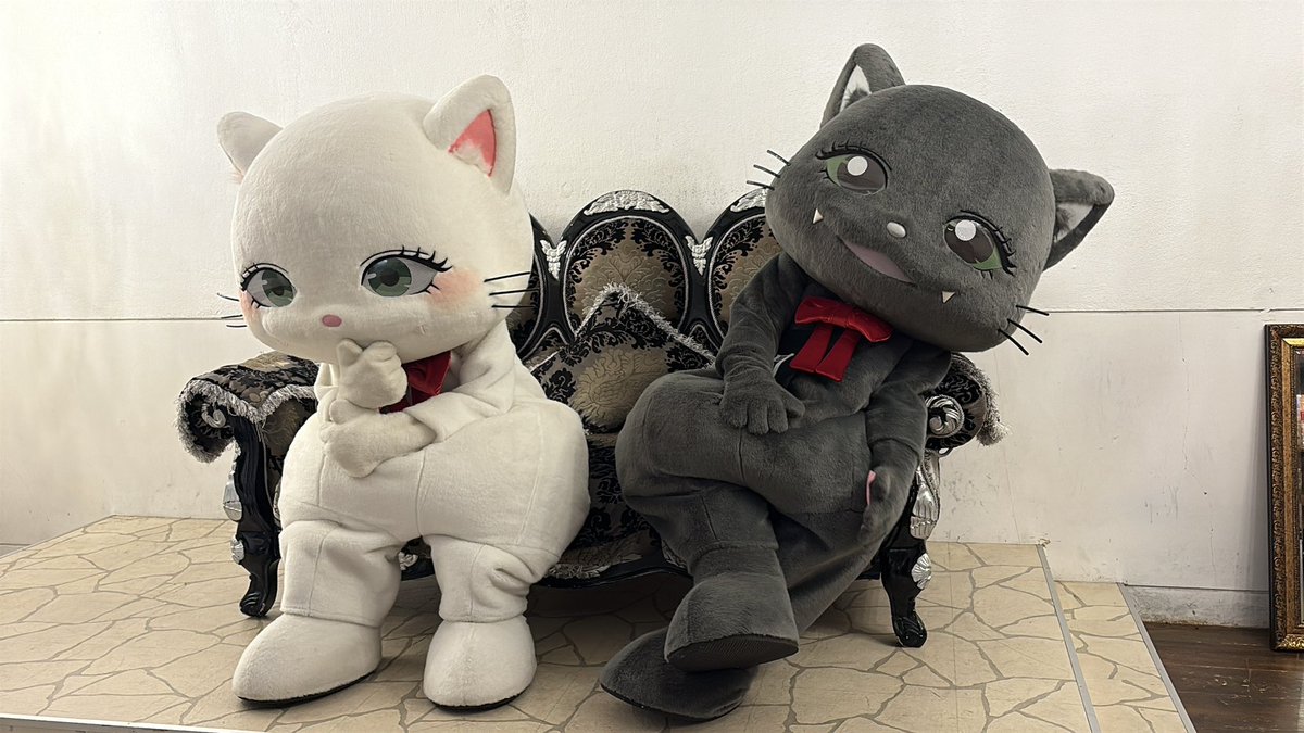 ぶいにゃす😺🎀🍓 tweet media