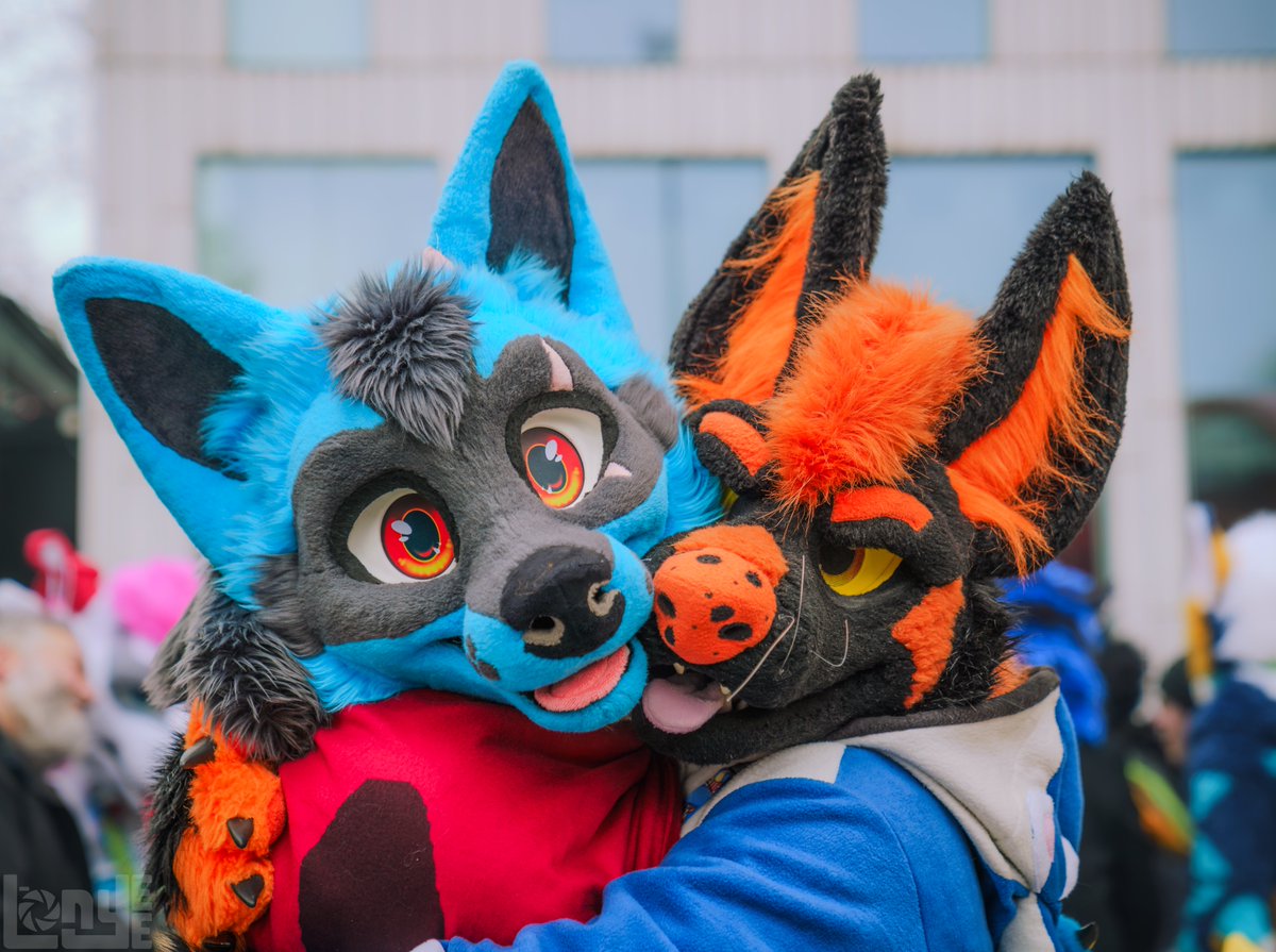 WolfLycaon tweet media