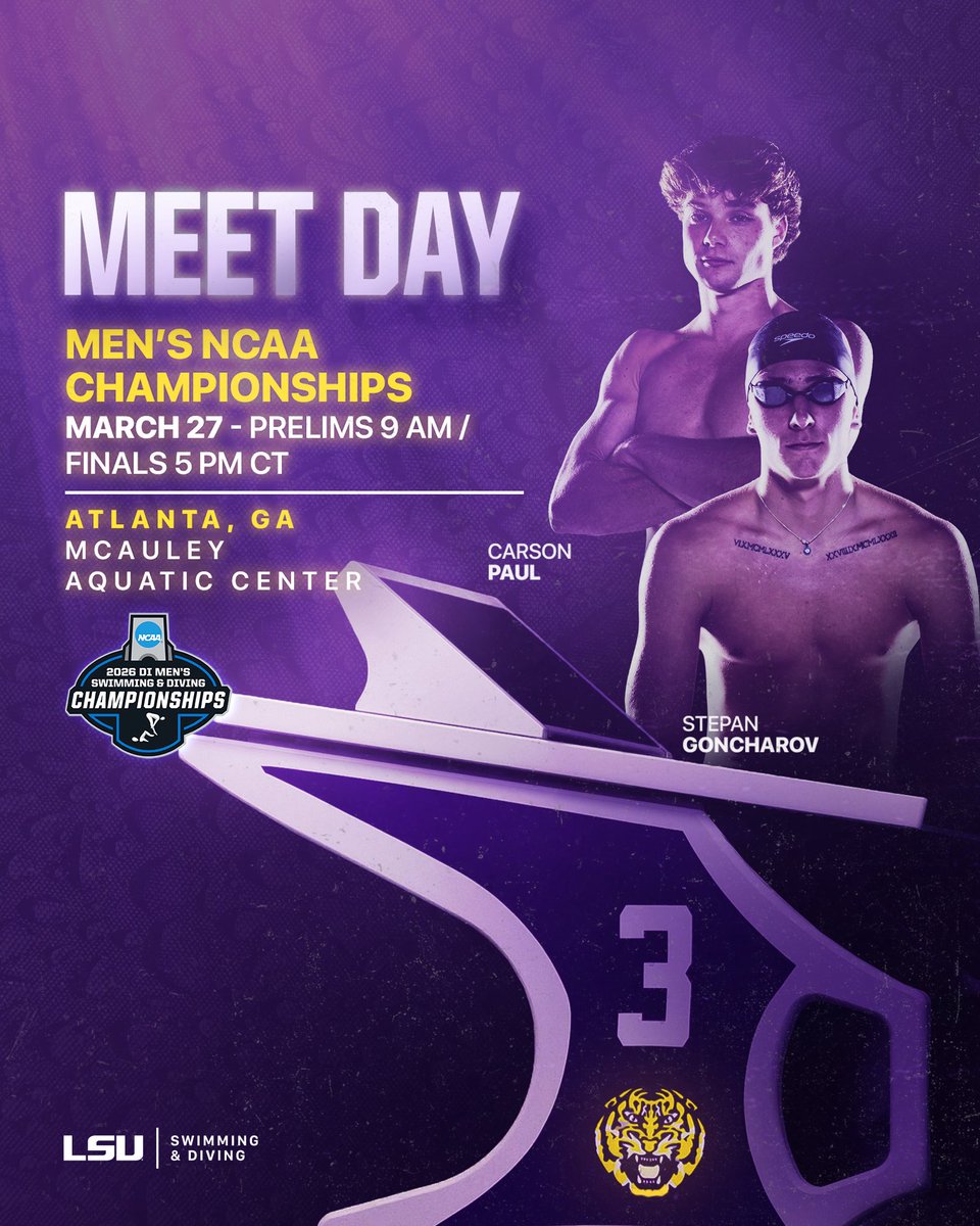 LSU Swimming & Diving tweet media