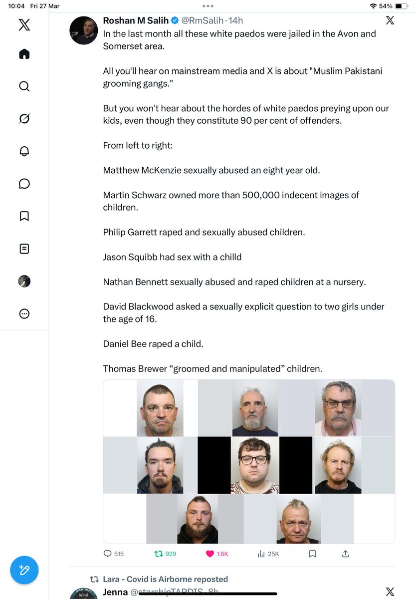 Karen B 🌹🇪🇺 🇺🇦💜🤍💚KarenB@KBGreyhoundLady tweet media