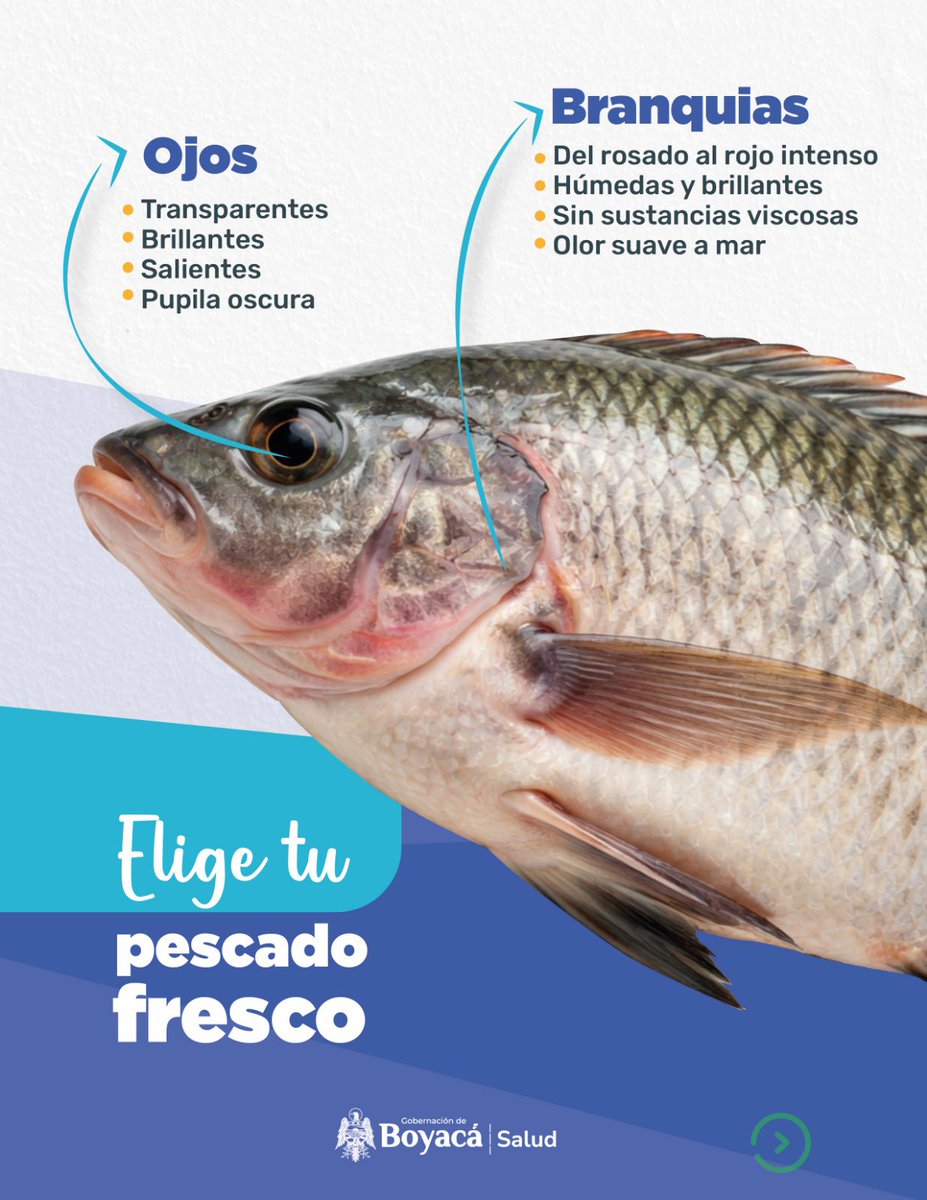 Secretaría de Salud de Boyacá tweet media