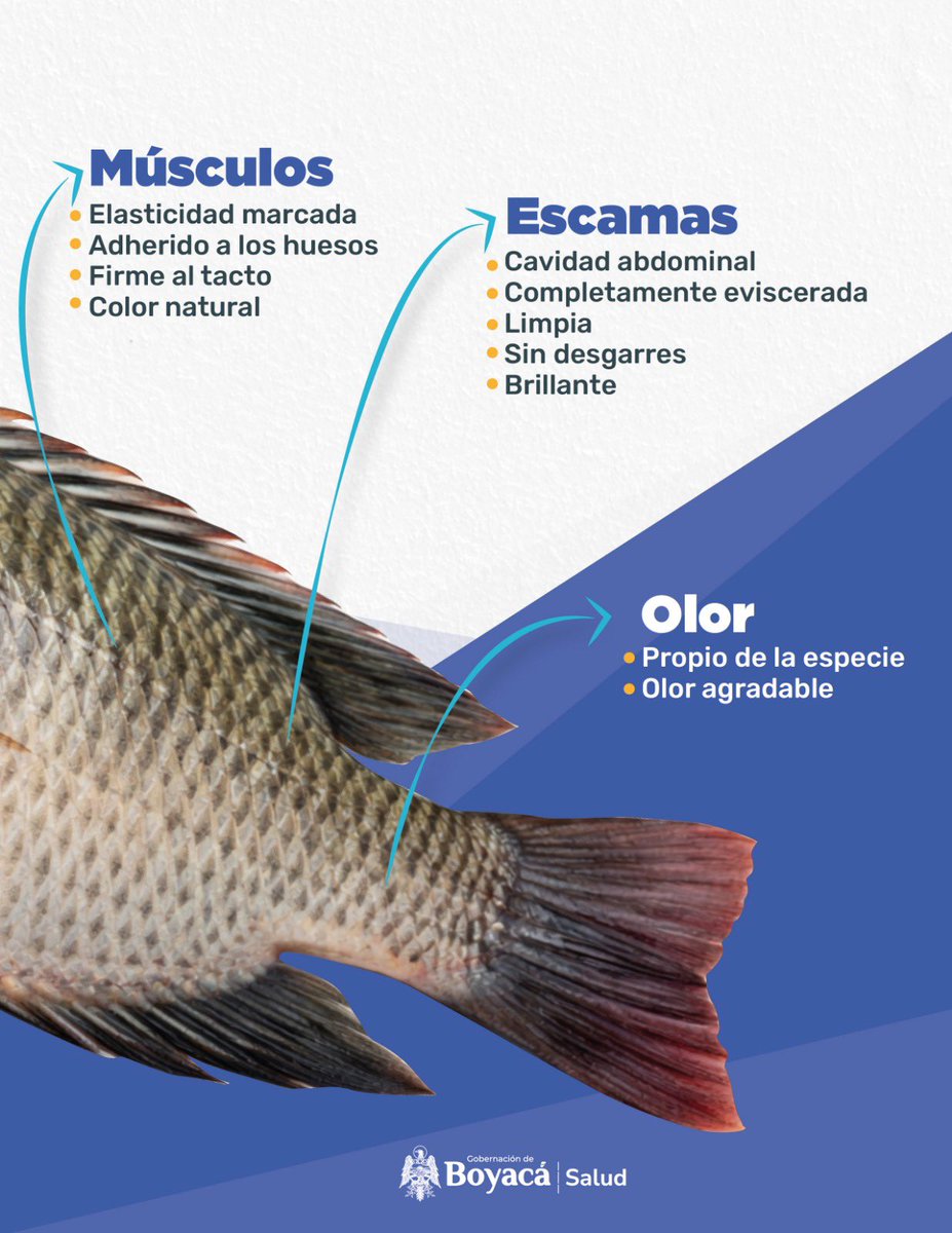 Secretaría de Salud de Boyacá tweet media