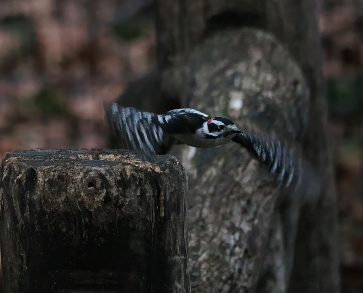 Above_96th tweet media