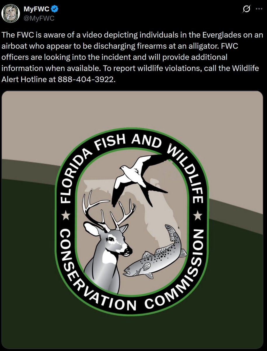 Kiwi Farms tweet media