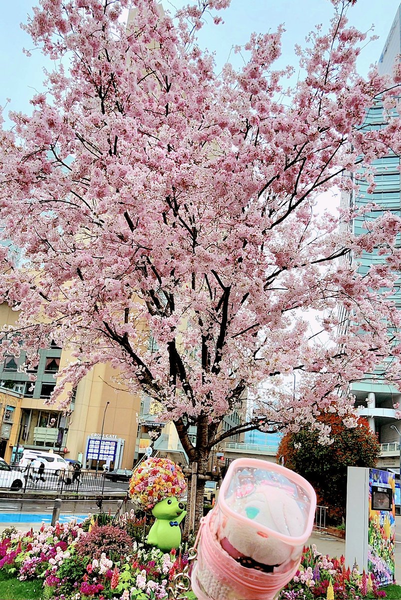 アフロ tweet media