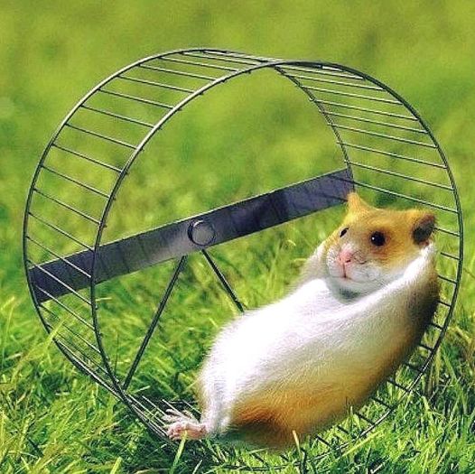 Villaland tweet media