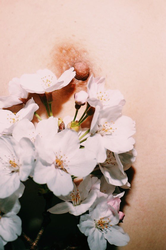 ざわめき🌪🥺 tweet media