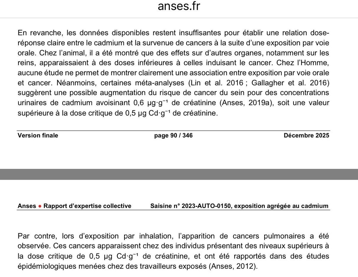 Raphael Grably tweet media