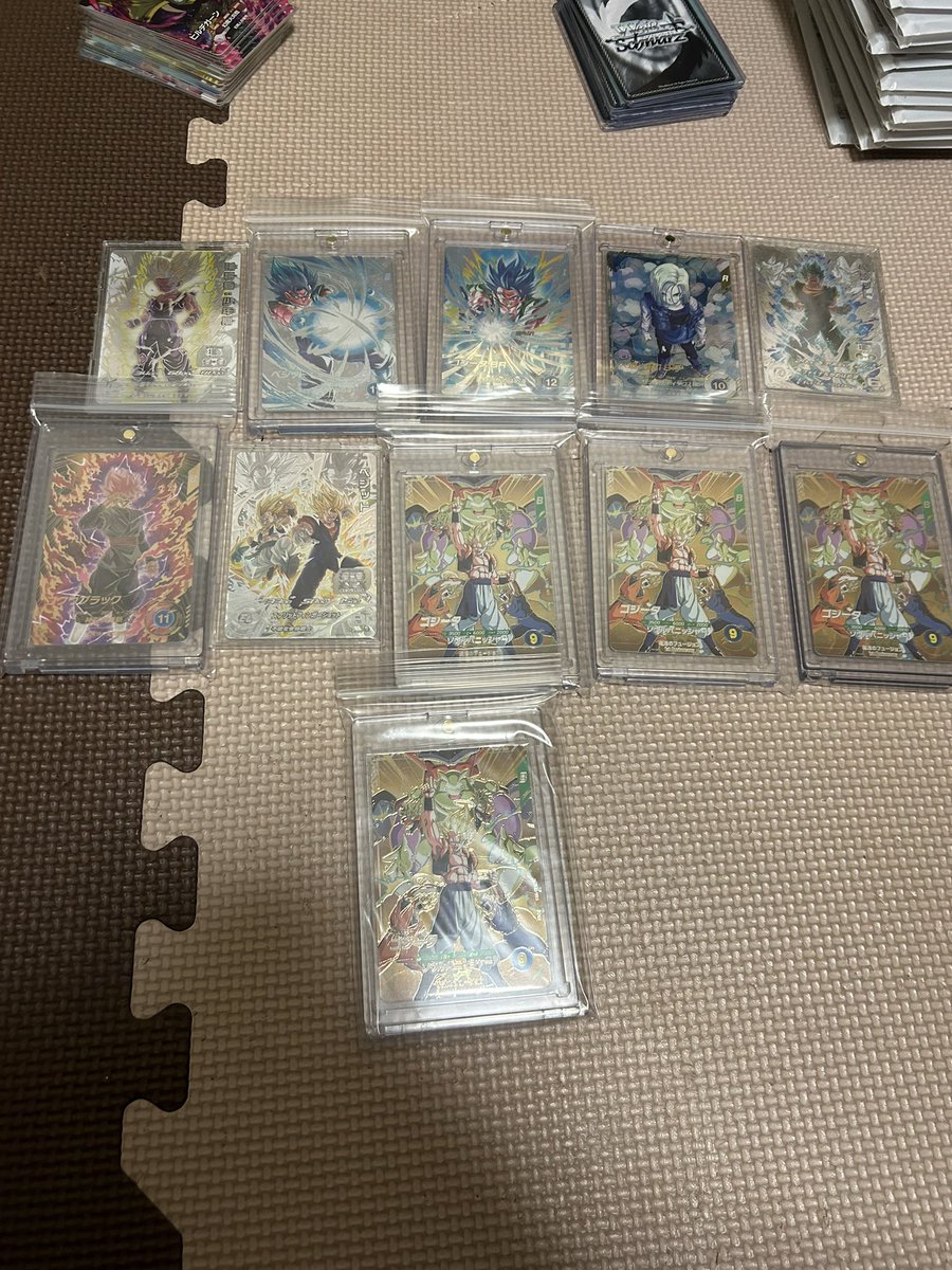 タマ〜 tweet media