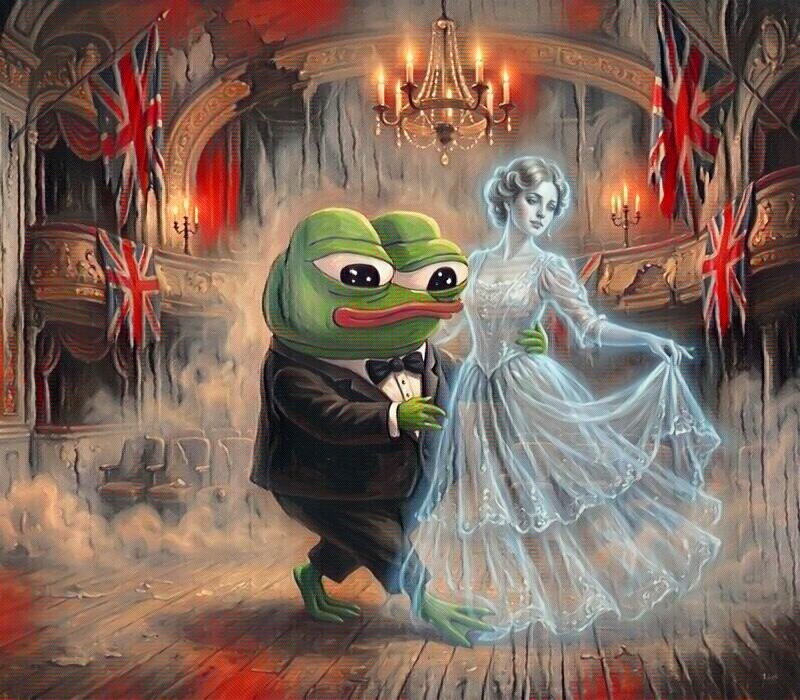 The N.M.O. tweet media