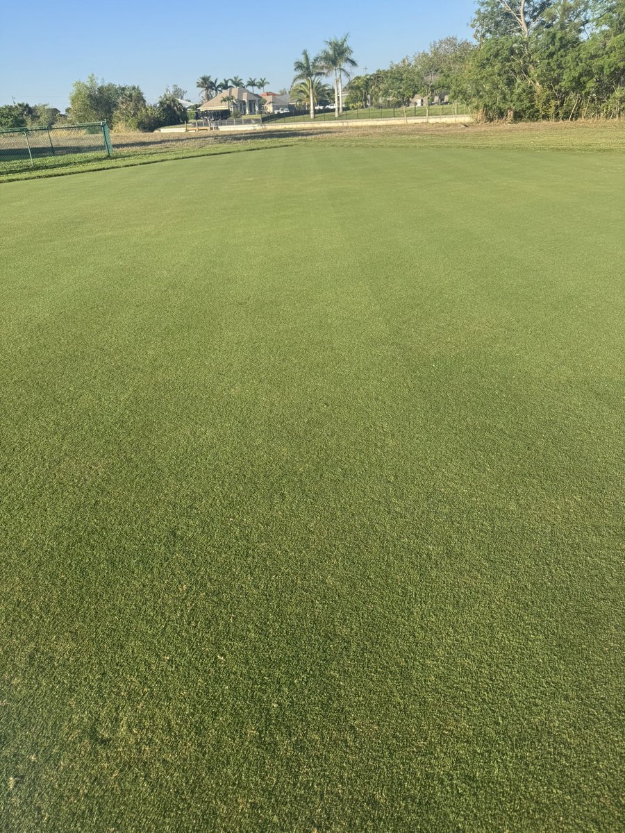 lovingturf's tweet image. Isn’t she lovely!!!! Still a tad bit to fill in but she’s a rockstar already!! #makingmoves #turflife #nursery #gamechanger