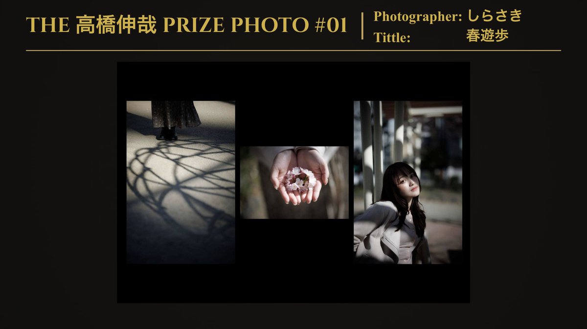 高橋 伸哉/写真作家/写真集/新刊「堕花」「impermanence」「IN THE ZONE」 tweet media