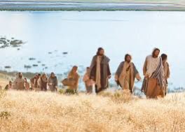 Ramón Hernández R. tweet media