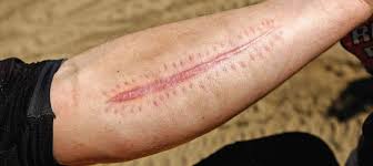 Reasonable Man 🇺🇸 tweet media