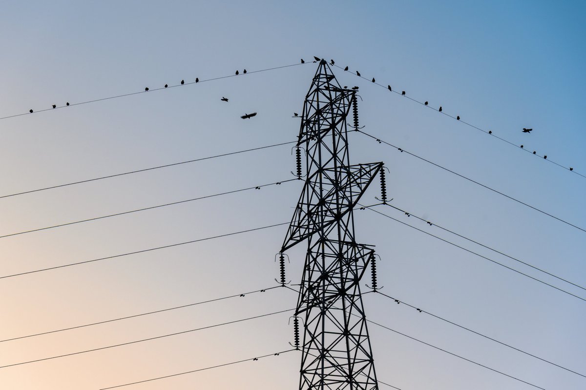 Chrys🌕 tweet media