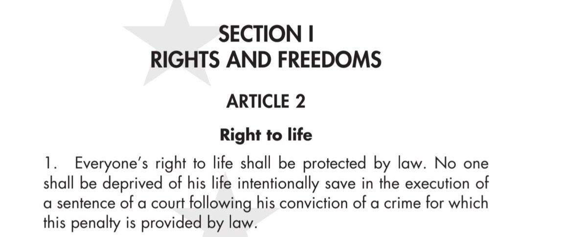 Kenney Pedersen tweet media