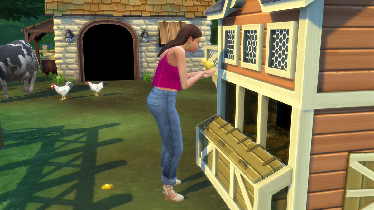 Simmer 🎮 tweet media