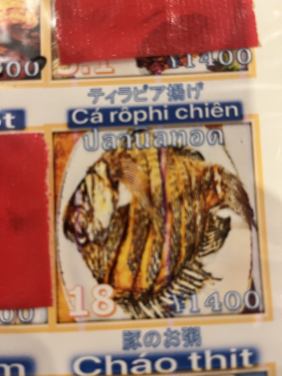 大和田　俊 | Shun Owada tweet media