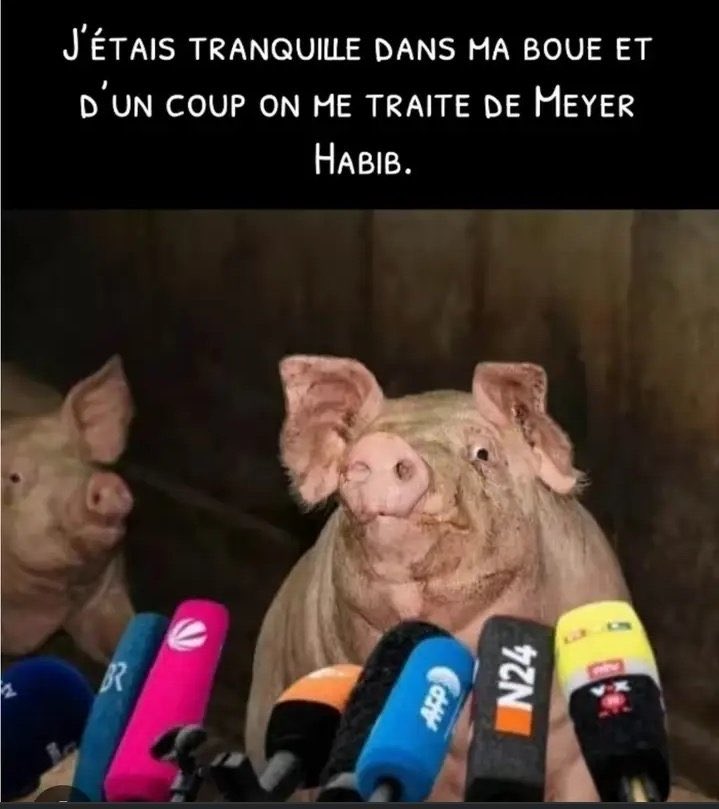 Le Reptilien Complotiste 🦎 tweet media