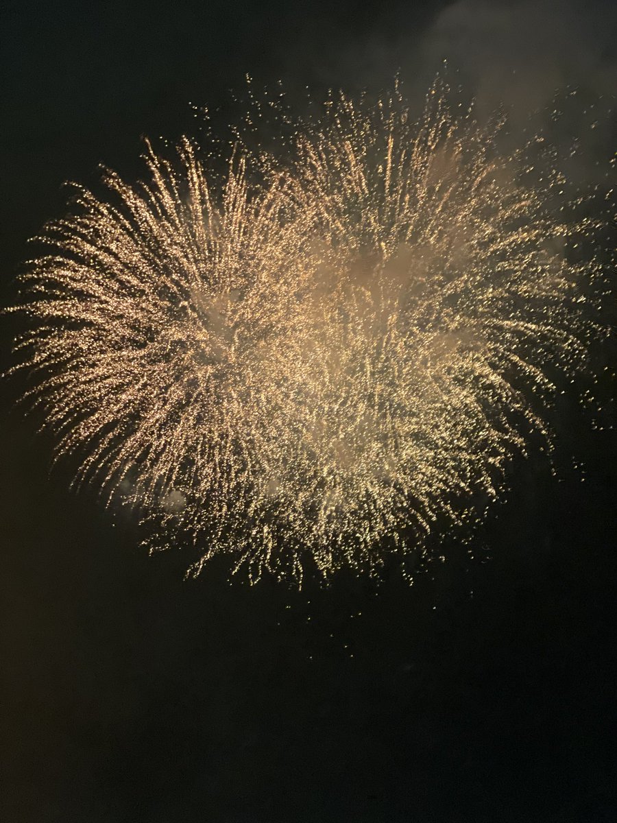 せるみん tweet media