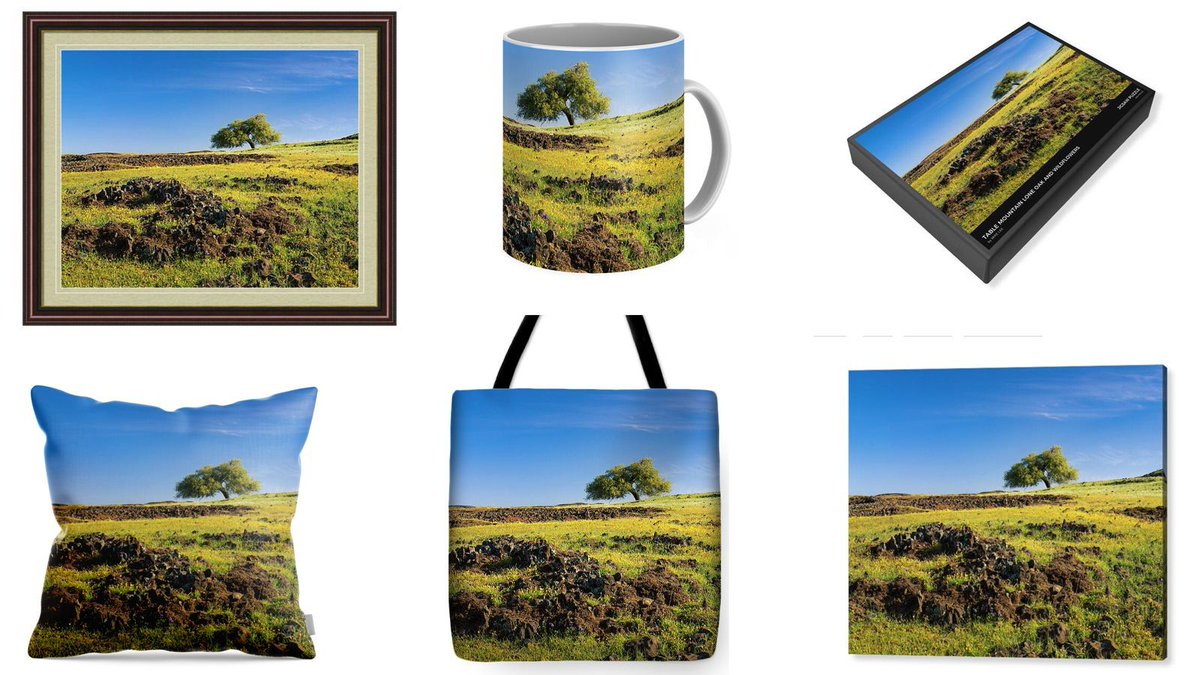 Mike Lee tweet media