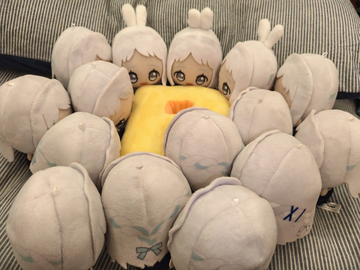 むり🔰 tweet media