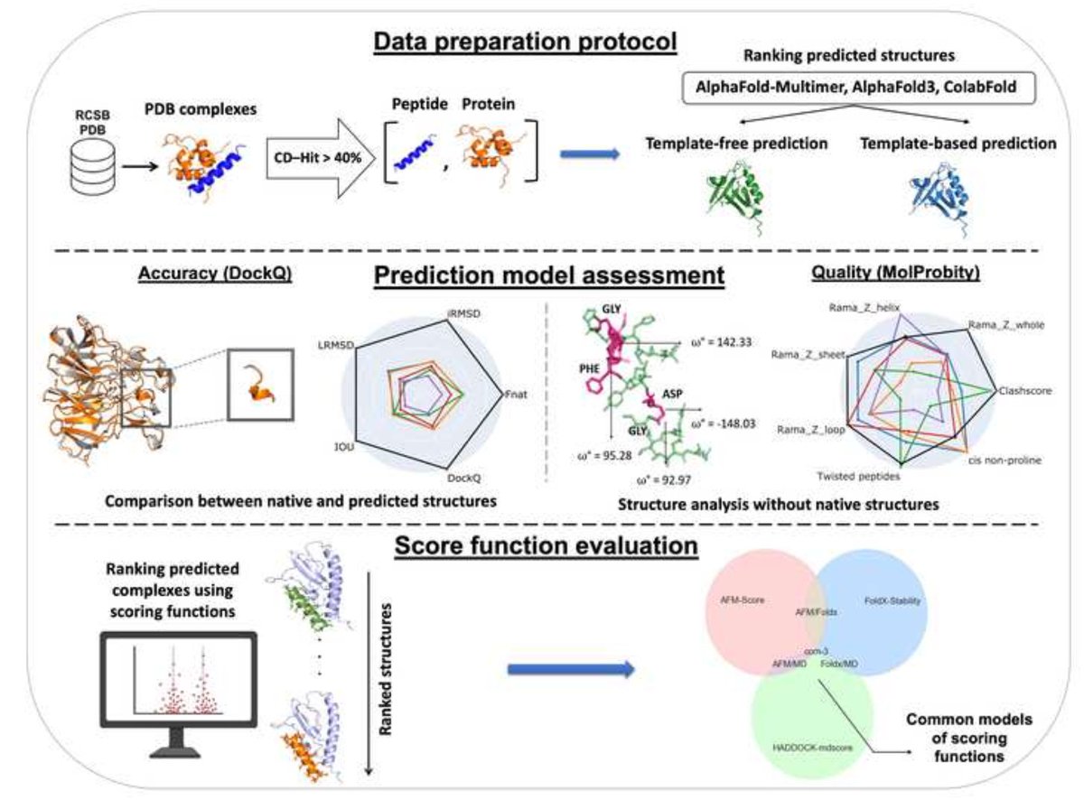 Evaluating AlphaFold tools and related scoring functions for protein ...