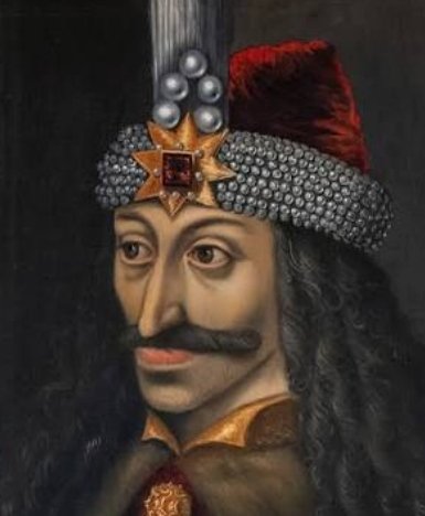 Whitaker Kitchens tweet media