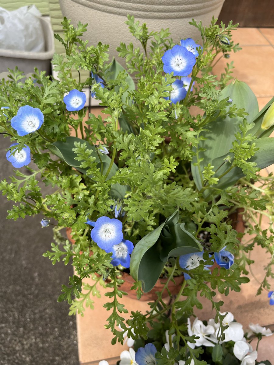 Yurika M tweet media