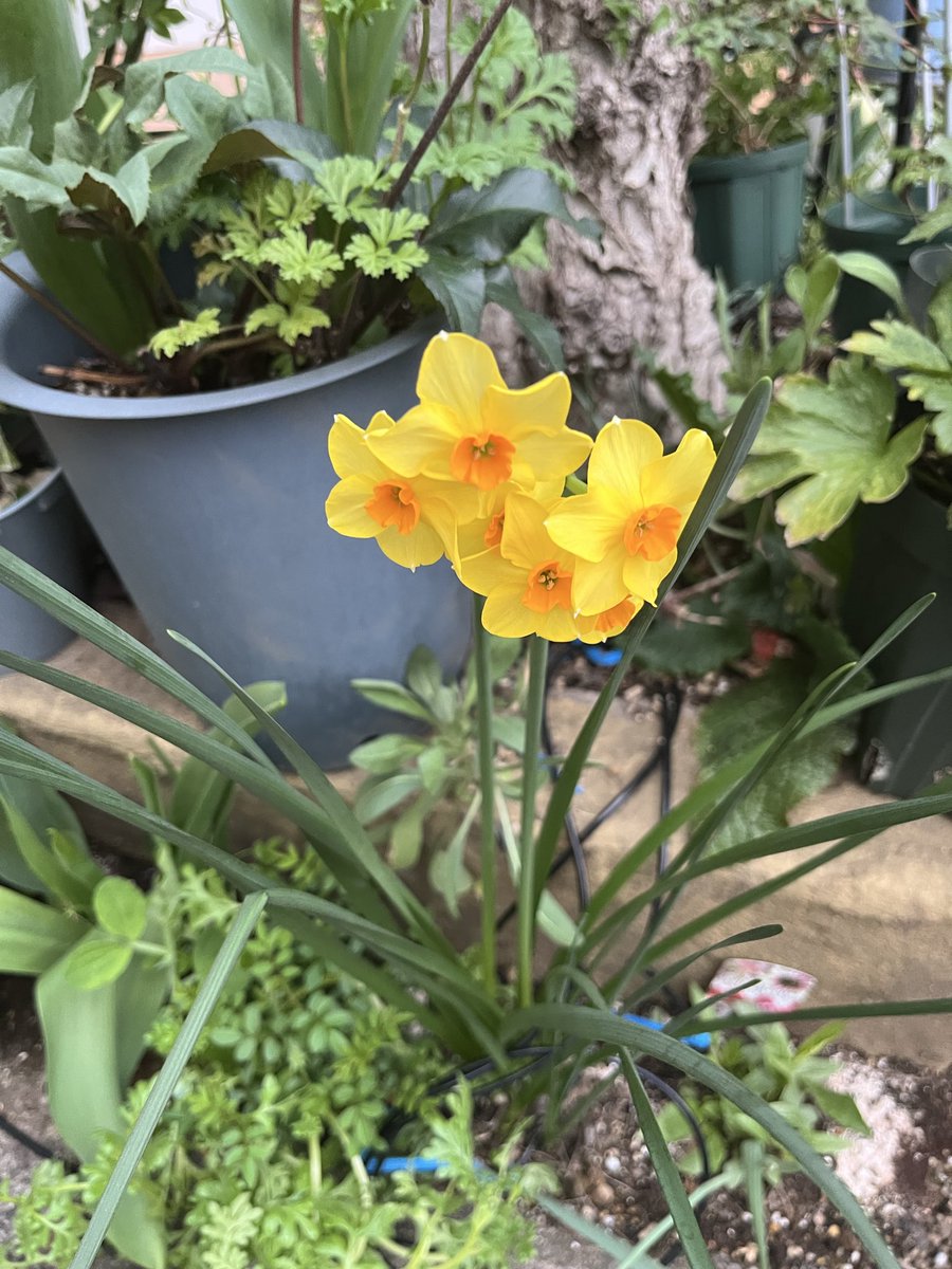 Yurika M tweet media