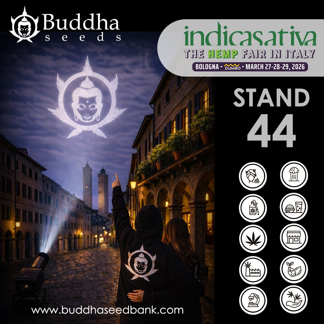 Buddha Seeds tweet media