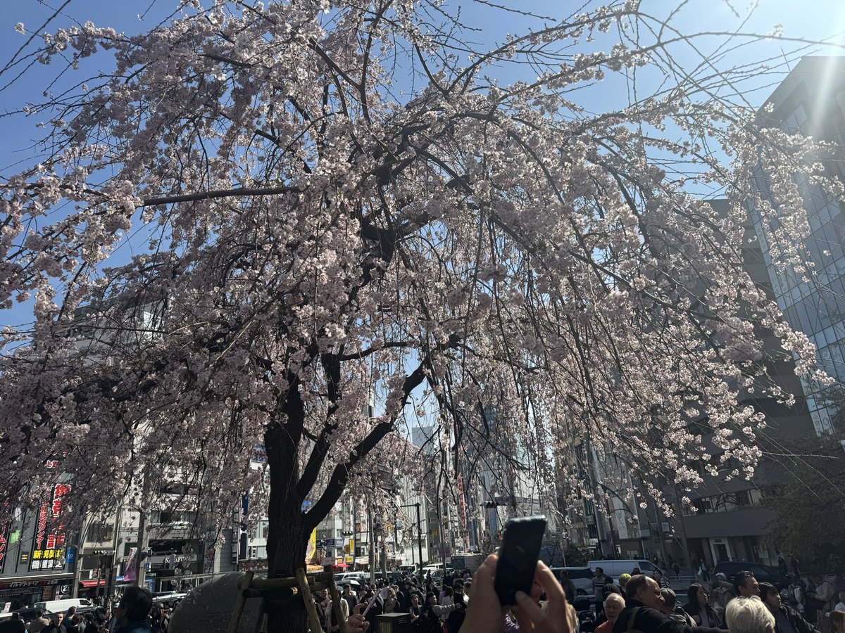 人を幸せにあゆちゃん億り人になりたいシンプルライフスタイル tweet media