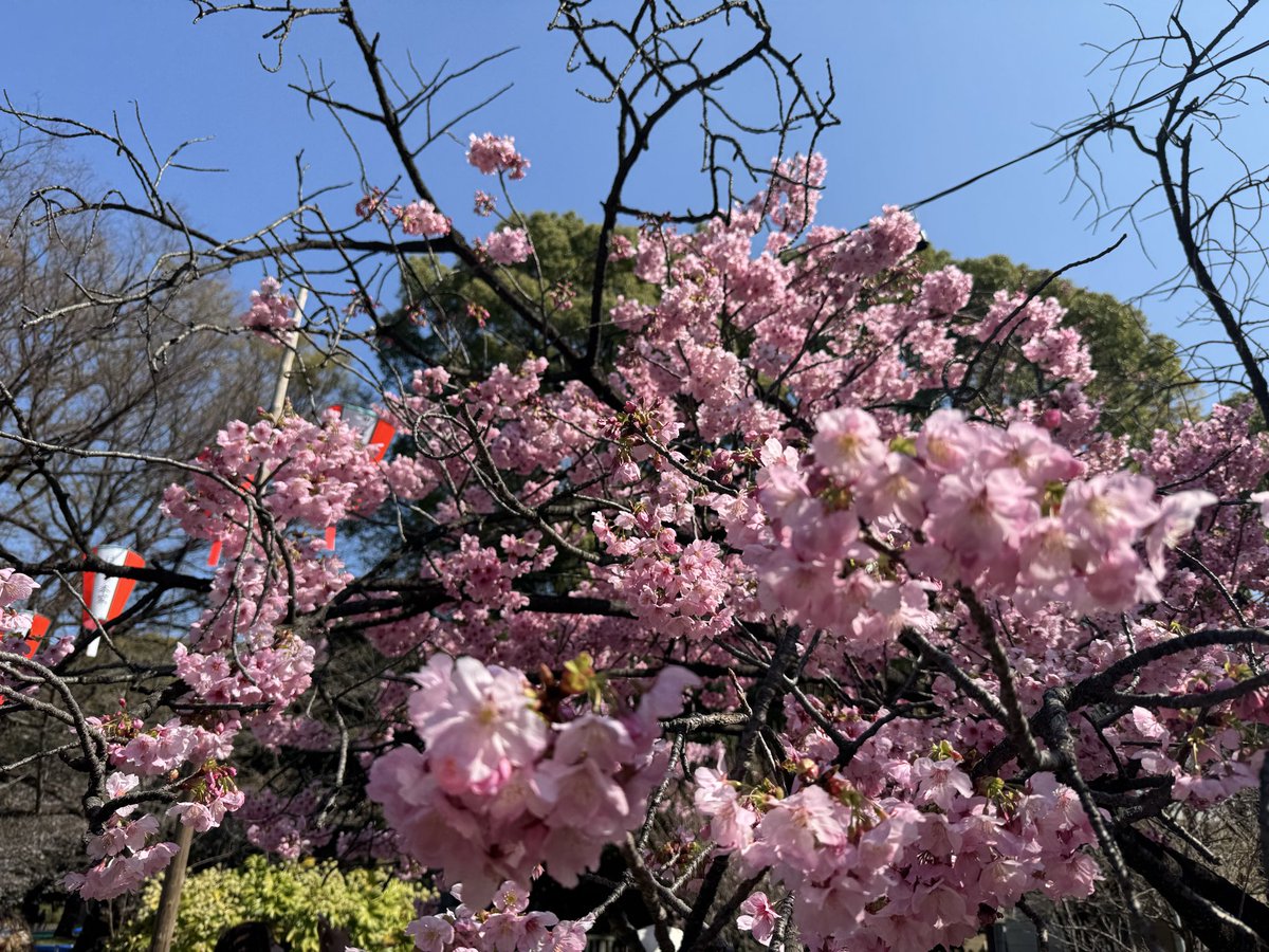 人を幸せにあゆちゃん億り人になりたいシンプルライフスタイル tweet media