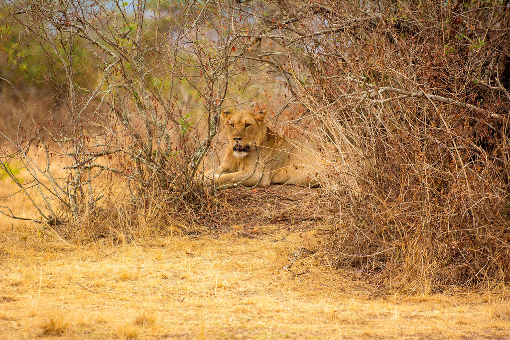 Blaise Toussaint Ishimwe tweet media