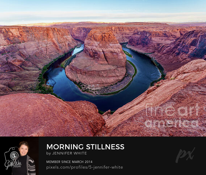 Jennifer White Timeless Moments Photography, LLC tweet media