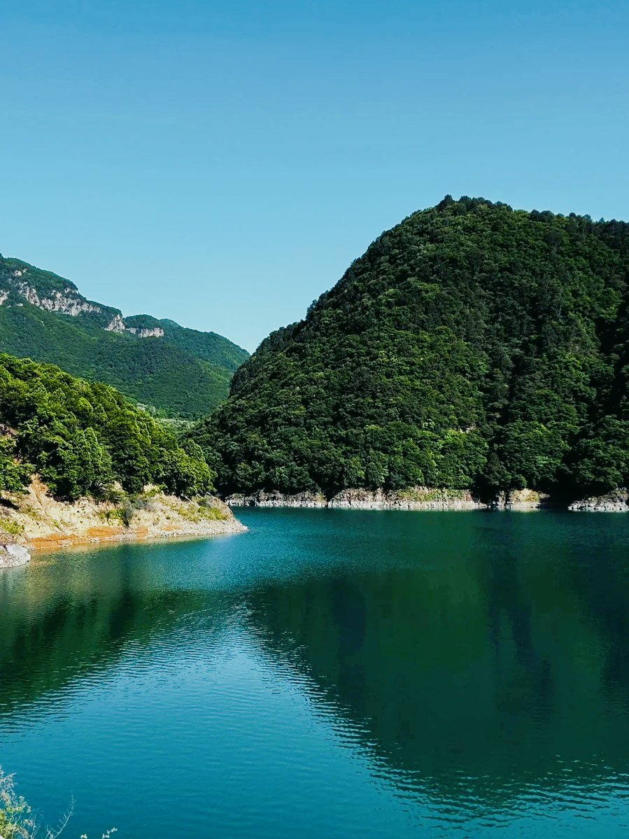 Lemak Johanna tweet media