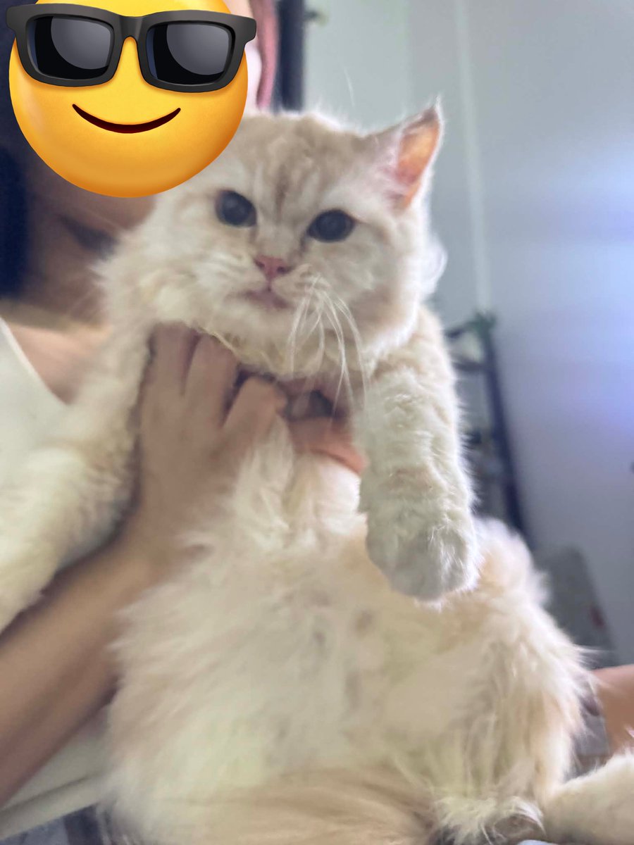 waffles 🧇 tweet media