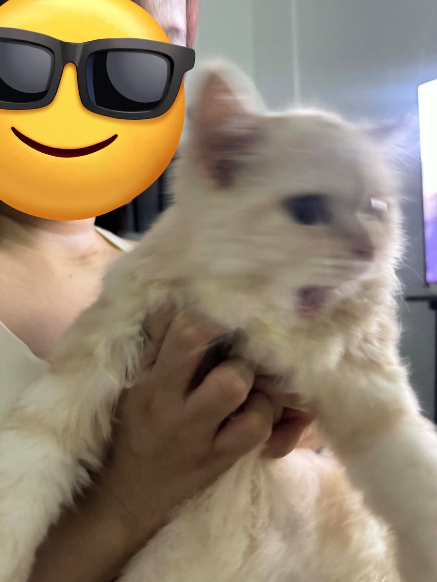 waffles 🧇 tweet media