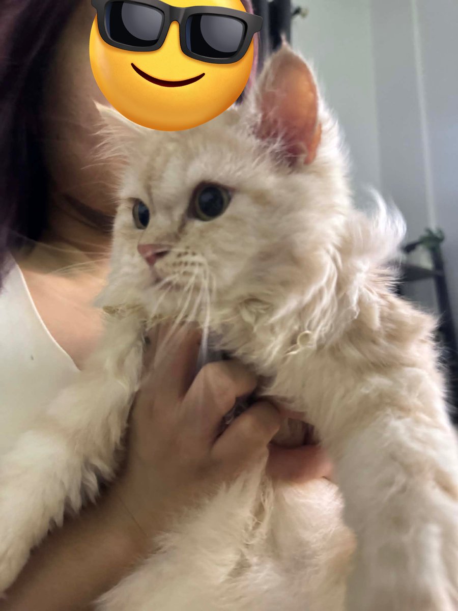 waffles 🧇 tweet media