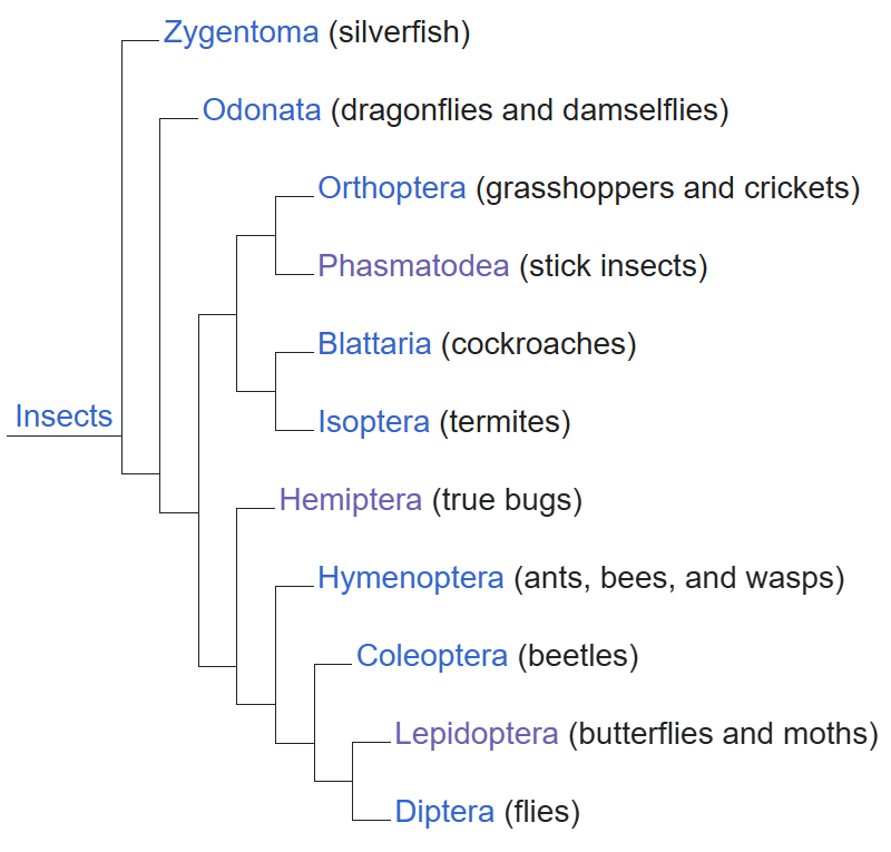 Bonjo🦧 tweet media