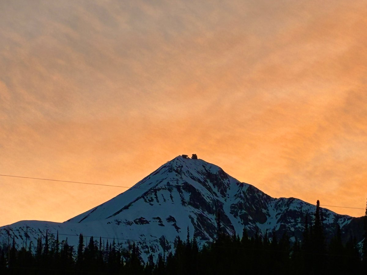 RichRoar 🦁👑🔪🧸 tweet media