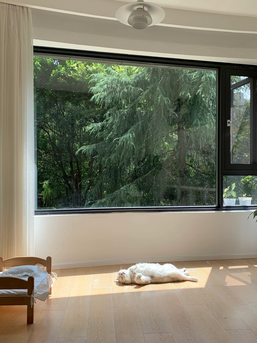 Borazim MOHAMED tweet media