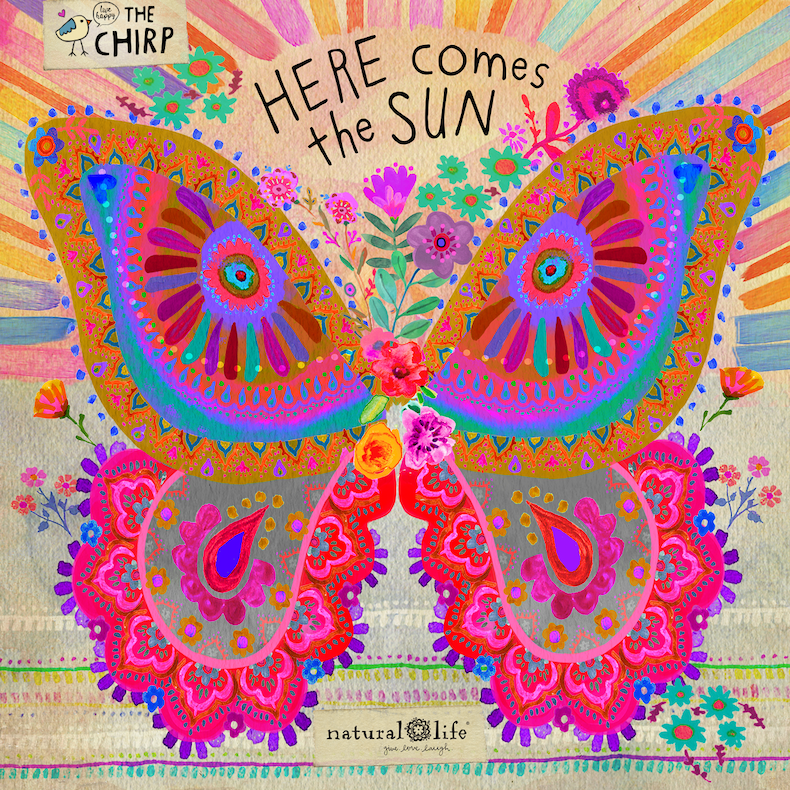 Sarah Lehmann tweet media