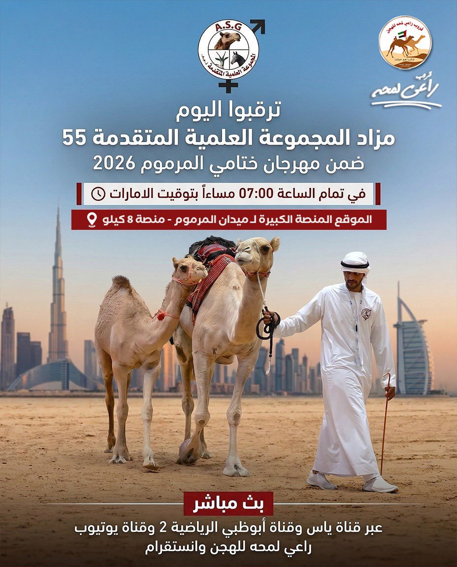 ASGroup_1990's tweet photo. ضمن فعاليات (مهرجان ختامي المرموم 2026 ) تقدم المجموعة العلمية المتقدمة نخبة من السلالات الشهيرة في مزاد الهجن الخامس والخمسون 
-اليوم الساعة 7:00 مساء 
-الموقع: ميدان المرموم - منصة 8 كيلو 
-النقل المباشر عبر قناة ياس وقناة أبوظبي الرياضية 2

رابط كتيب المزاد:
 
https://t.co/Keef6ngFek