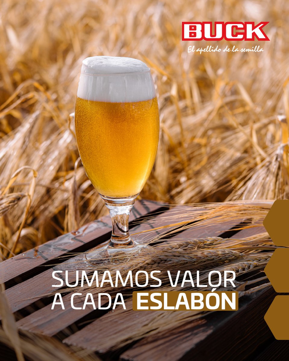 Buck Semillas tweet media