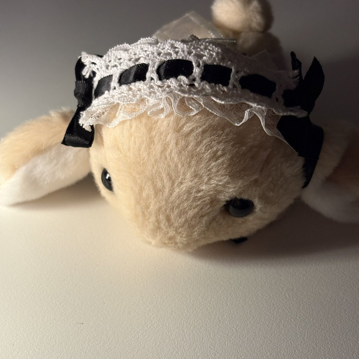 두두쥐 tweet media