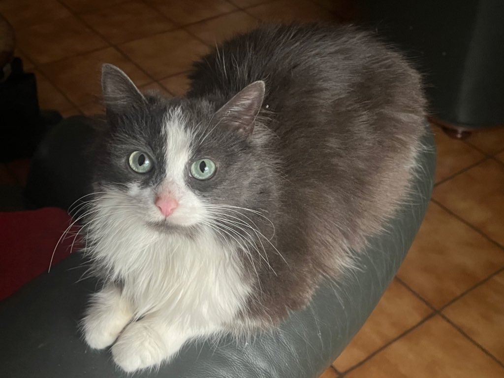 AxE 🇲🇬 tweet media